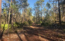 210 MORNINGSIDE Drive, Florahome, FL 32140