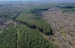 0 MOORE, Holly Springs, MS 38635