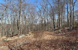 2.08 ACRES DEER PATH ROAD, AUGUSTA, WV 26704