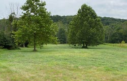 48 Fairview Road, Montgomery Twp., NJ 08558