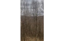 Houck Mountain Road, Walton, NY 13856