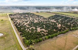TBD Lot 1 FM 128, Cooper, TX 75432