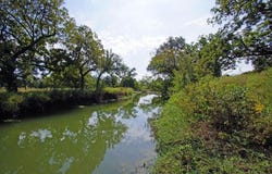 5341 County Road 236, Liberty Hill, TX 78642
