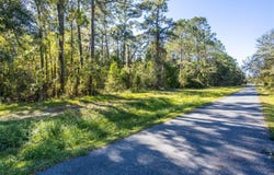 Tbd SE 5TH AVENUE, LAKE BUTLER, FL 32054