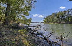 0 Lominack Road, Prosperity, SC 29127