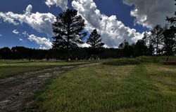 Blk 6 Lot 11, Hill City, SD 57745