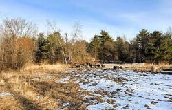159 Proctor Road, Arundel, ME 04046