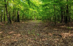 000 Cave Creek Road, Batesville, AR 72501