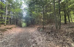 Windfall Road, Northfield, NH 03276