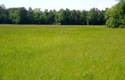 0 County Road 24, Pine Apple, AL 36768