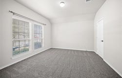 10005 Petrified Tree Lane, McKinney, TX 75072