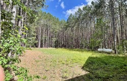 14405 King Road, Thompsonville, MI 49683