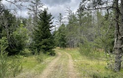 00 E 10 Mile Road, Irons, MI 49644