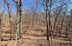 D4595  RD, Kansas, OK 74347
