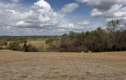 3305 Anna Sandhill Road, Bowling Green, KY 42101