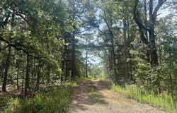 001-01049-000 CR 128, Calico Rock, AR 72519