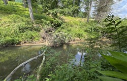 5298 Leivasy Rd, Leivasy, WV 26676