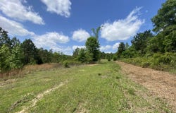 TBD Athens Church Road, Hallsville, TX 75650