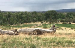 County Rd 571, Gardner, CO 81040