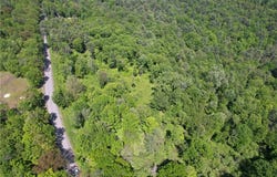 0 Cemetery Hill Road, Oneonta, NY 13820