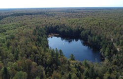 on Wolf Lake Road, Newberry, MI 49868