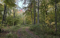 Off East Shore Road, Marenisco, MI 49947
