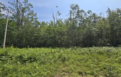 Iroquois Trail, Gaylord, MI 49735
