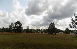 0 HANGING MOSS TRAIL, Cottonwood, AL 36320