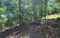 CORNWELL DRIVE lot: 24, ROMNEY, WV 26757