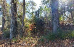 2359 Broughton Street, Orangeburg, SC 29115
