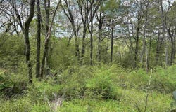 3185 CREST OVAL MTN ROAD, BESSEMER, AL 35023