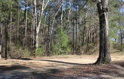423 Shady School Rd, Laurel, MS 39443