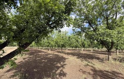 4695 Snow Road, Las Cruces, NM 88005