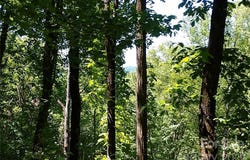 Hudson Valley Drive unit: 11, Waynesville, NC 28786