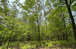 633 Peninsula Trl, Traverse City, MI 49696