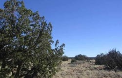 5999 Mesa View Lot 149 Drive, Heber, AZ 85928