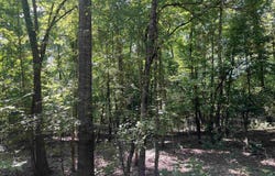776 JOHN ASHLEY, Amity, AR 71921
