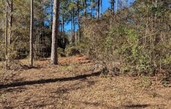 Mossy Oak Trail lot: 2 Of A 3 Lot 2.1.9 Su, Tallahassee, FL 32317