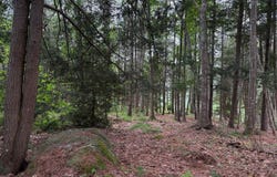 Lot# 40 Brickyard Cove Road, Harpswell, ME 04079