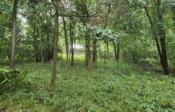 9114 N Riverview Drive, Kalamazoo, MI 49004