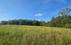 001 Tomahawk Slab Road, Saint Joe, AR 72675