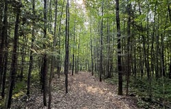 2 County Highway C, Couderay, WI 54943