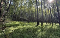 4028 Pleasant View Drive, Patrick Springs, VA 24133