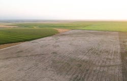000 Country Rd 54-318 acres, Brewster, KS 67124