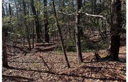 0 Timber Ridge Road, Millers Creek, NC 28651
