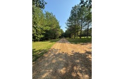 25038  Hwy 82, McCarley, MS 38943