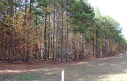 465 Compass Drive, Jasper, TN 37347