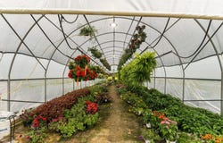 401 Buckatunna Chicora Clara Rd., Waynesboro, MS 39367