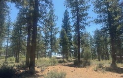 184 Redding Way unit: 261, Carson City, NV 89705