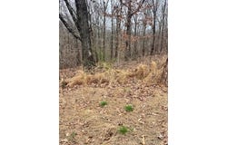 Sanquhar Lane lot: 14, Bella Vista, AR 72715